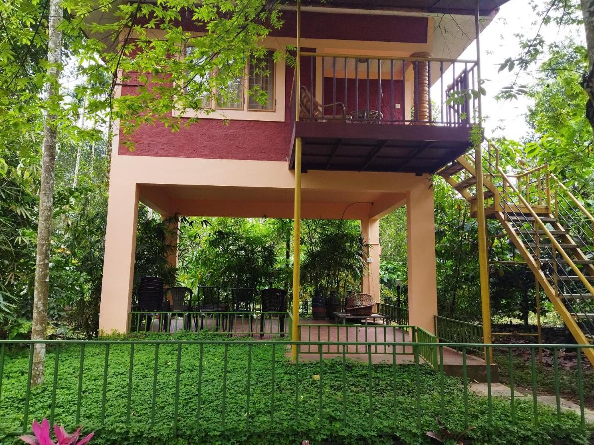 Wayanad Green Park Resort Ambalavayal Exterior foto