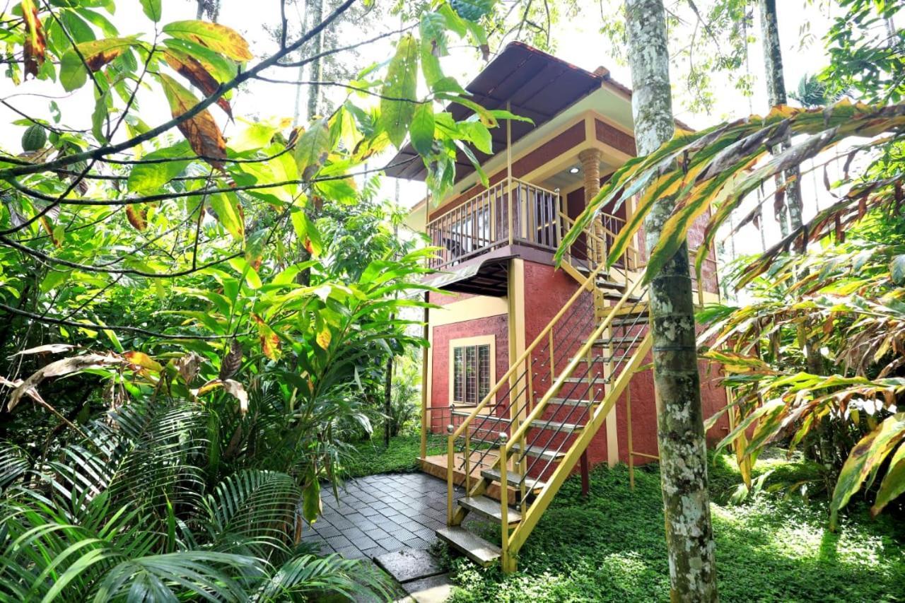Wayanad Green Park Resort Ambalavayal Exterior foto