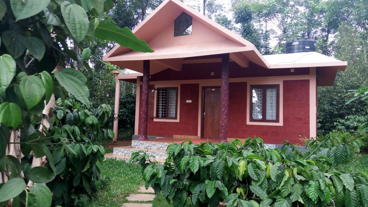 Wayanad Green Park Resort Ambalavayal Exterior foto